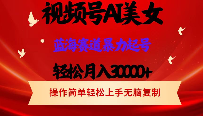 （12178期）视频号AI美女跳舞，轻松月入30000+，蓝海赛道，流量池巨大，起号猛，当…-三六网赚