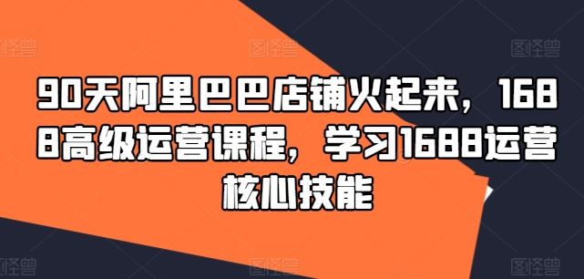 90天阿里巴巴店铺火起来，1688高级运营课程，学习1688运营核心技能-三六网赚