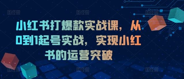 小红书打爆款实战课，从0到1起号实战，实现小红书的运营突破-三六网赚