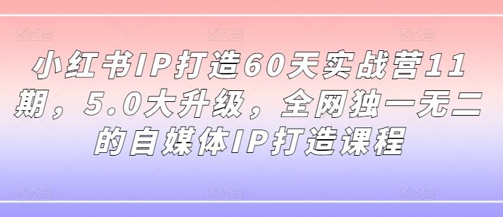 小红书IP打造60天实战营11期，5.0大升级，全网独一无二的自媒体IP打造课程-三六网赚