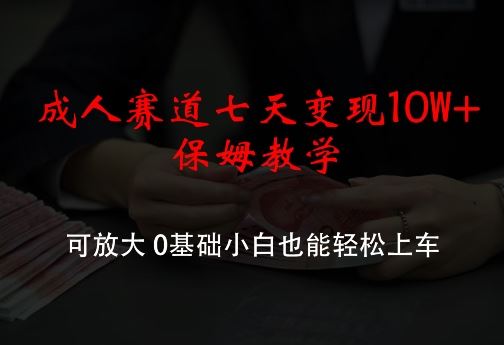 成人赛道七天变现10W+保姆教学，可放大，0基础小白也能轻松上车【揭秘】-三六网赚