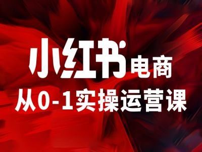 小红书电商从0-1实操运营课，让你从小白到精英-三六网赚