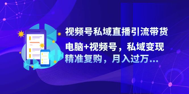 （12249期）视频号私域直播引流带货：电脑+视频号，私域变现，精准复购，月入过万…-三六网赚