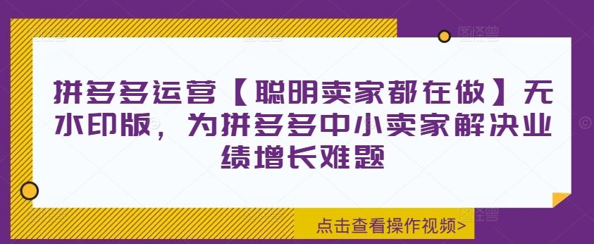 拼多多运营【聪明卖家都在做】无水印版，为拼多多中小卖家解决业绩增长难题-三六网赚