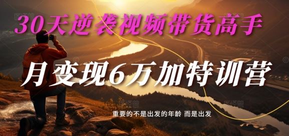 30天逆袭视频带货高手，单月变现6万加特训营-麦子甜-三六网赚