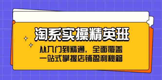 淘系实操精英班：从入门到精通，全面覆盖，一站式掌握店铺盈利秘籍-三六网赚