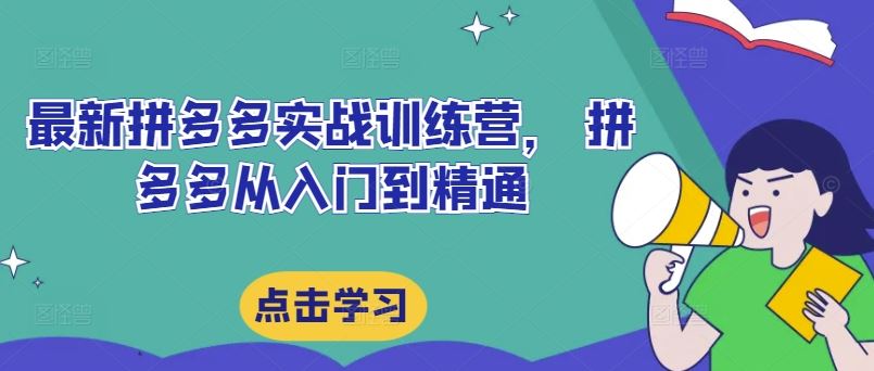 最新拼多多实战训练营， 拼多多从入门到精通-三六网赚