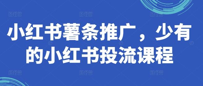 小红书薯条推广，少有的小红书投流课程-三六网赚