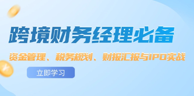 （12323期）跨境 财务经理必备：资金管理、税务规划、财报汇报与IPO实战-三六网赚