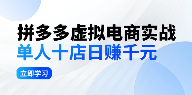 （12326期）拼多多虚拟电商实战：单人10店日赚千元，深耕老项目，稳定盈利不求风口-三六网赚