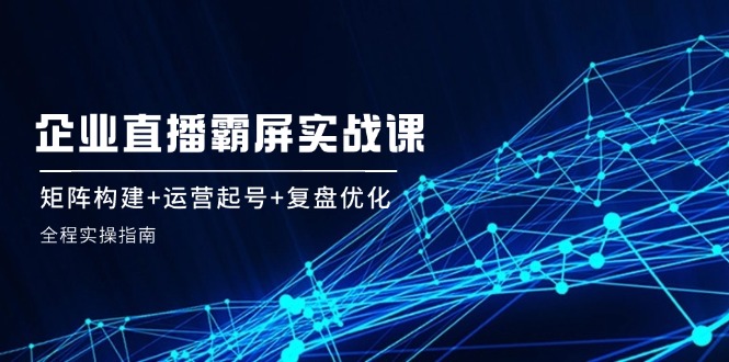 企业直播霸屏实战课：矩阵构建+运营起号+复盘优化，全程实操指南-三六网赚