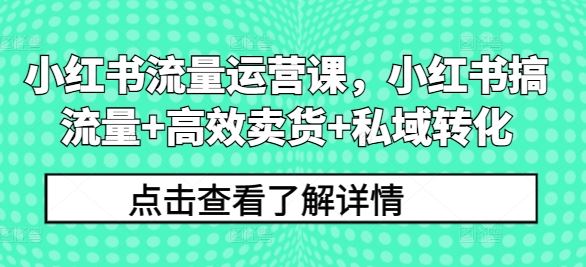 小红书流量运营课，小红书搞流量+高效卖货+私域转化-三六网赚