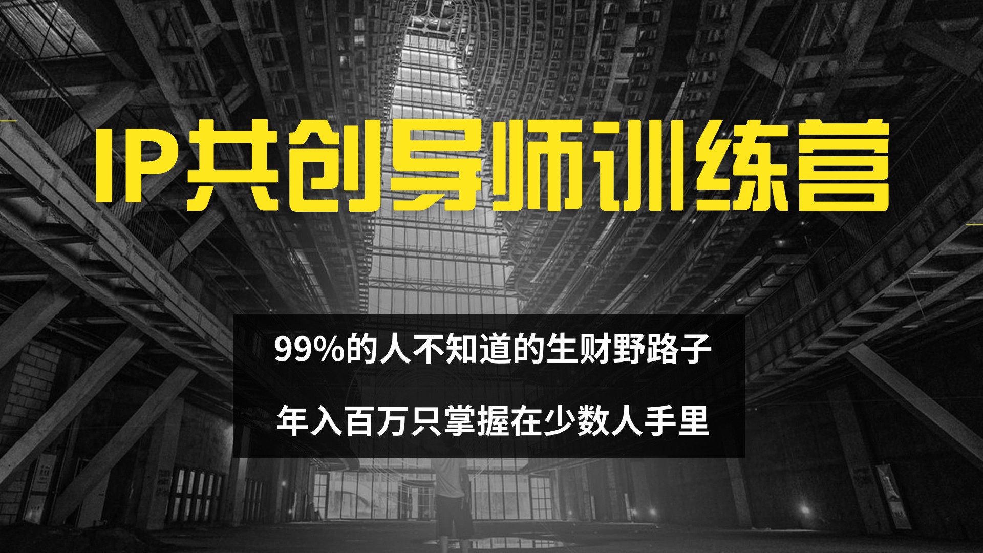 （12504期）IP共创导师训练营 99%的人不知道的生财野路子 只掌握在少数人手里-三六网赚