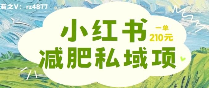 小红书减肥粉，私域变现项目，一单就达210元，小白也能轻松上手【揭秘】-三六网赚