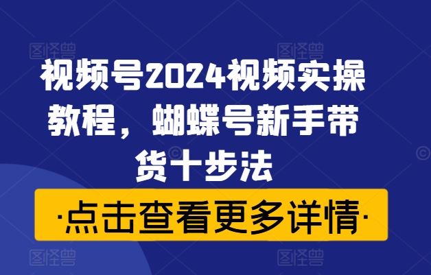 视频号2024视频实操教程，蝴蝶号新手带货十步法-三六网赚