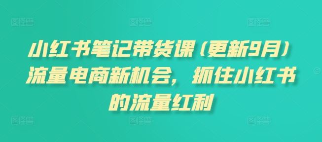 小红书笔记带货课(更新9月)流量电商新机会，抓住小红书的流量红利-三六网赚