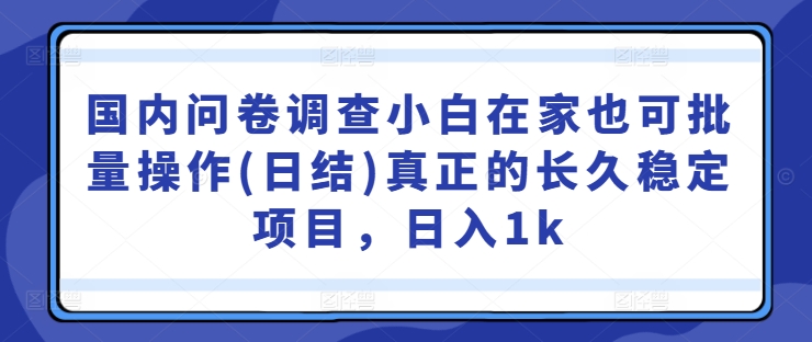 国内问卷调查小白在家也可批量操作(日结)真正的长久稳定项目，日入1k【揭秘】-三六网赚