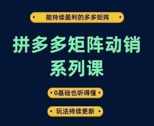 拼多多矩阵动销系列课，能持续盈利的多多矩阵，0基础也听得懂，玩法持续更新-三六网赚