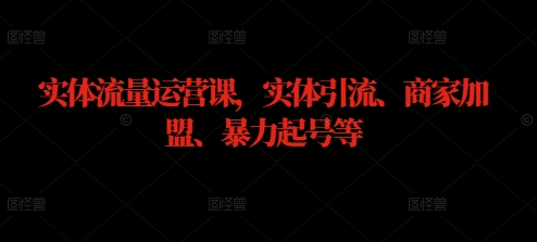 实体流量运营课，实体引流、商家加盟、暴力起号等-三六网赚