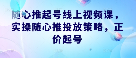 随心推起号线上视频课，实操随心推投放策略，正价起号-三六网赚