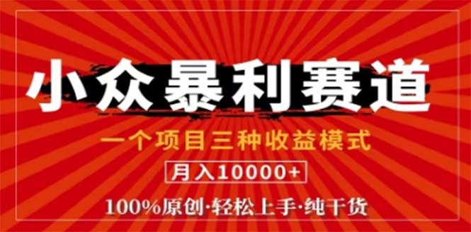 视频号最新爆火赛道，三种可收益模式，0粉新号条条原创条条热门 日入1000+-三六网赚