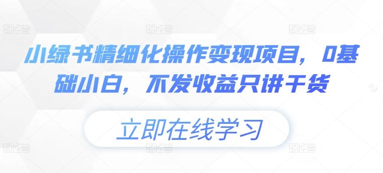 小绿书精细化操作变现项目，0基础小白，不发收益只讲干货-三六网赚