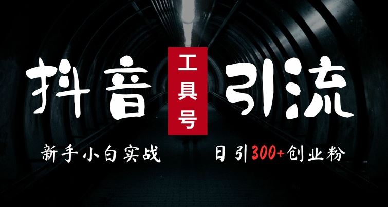 2024最新抖音工具号引流玩法，高效日引300+创业粉，当天变现5k，小白也可成为实战高手-三六网赚