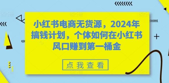 小红书电商无货源，2024年搞钱计划，个体如何在小红书风口赚到第一桶金-三六网赚