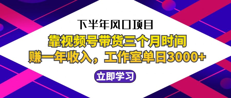 （12849期）下半年风口项目，靠视频号带货三个月时间赚一年收入，工作室实测单日3…-三六网赚