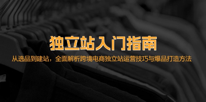 （12882期）独立站入门指南：从选品到建站，全面解析跨境电商独立站运营技巧与爆品…-三六网赚