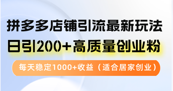 （12893期）拼多多店铺引流最新玩法，日引200+高质量创业粉，每天稳定1000+收益（…-三六网赚