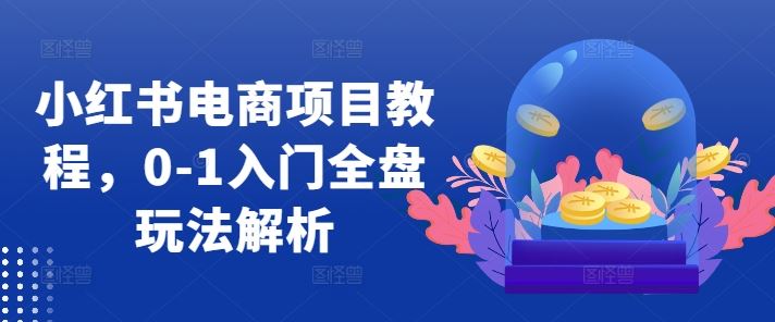 小红书电商项目教程，0-1入门全盘玩法解析-三六网赚