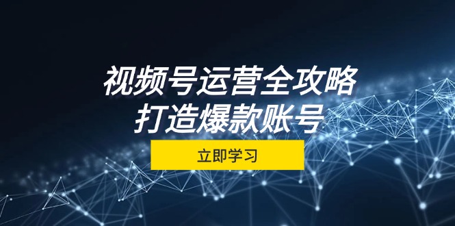 视频号运营全攻略，从定位到成交一站式学习，视频号核心秘诀，打造爆款账号-三六网赚