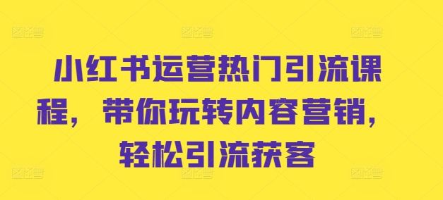 小红书运营热门引流课程，带你玩转内容营销，轻松引流获客-三六网赚