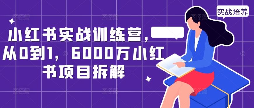 小红书实战训练营，从0到1，6000万小红书项目拆解-三六网赚