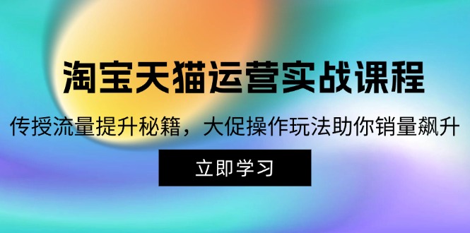 （12959期）淘宝&天猫运营实战课程，传授流量提升秘籍，大促操作玩法助你销量飙升-三六网赚