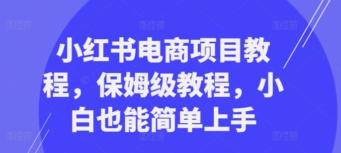 小红书电商项目教程，保姆级教程，小白也能简单上手-三六网赚