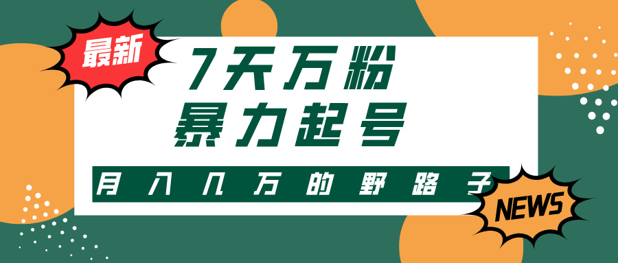 （13047期）3-7天万粉，快手暴力起号，多种变现方式，新手小白秒上手，单月变现几…-三六网赚