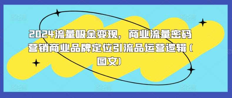 2024流量吸金变现，商业流量密码营销商业品牌定位引流品运营逻辑(图文)-三六网赚