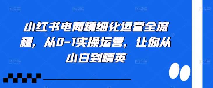 小红书电商精细化运营全流程，从0-1实操运营，让你从小白到精英-三六网赚