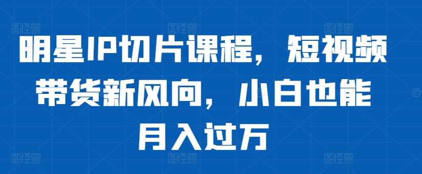 明星IP切片课程，短视频带货新风向，小白也能月入过万-三六网赚