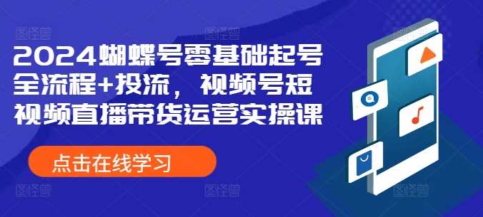 2024蝴蝶号零基础起号全流程+投流，视频号短视频直播带货运营实操课-三六网赚