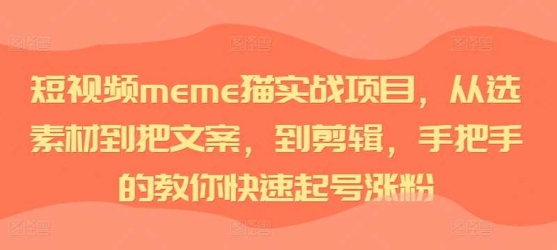 短视频meme猫实战项目，从选素材到把文案，到剪辑，手把手的教你快速起号涨粉-三六网赚