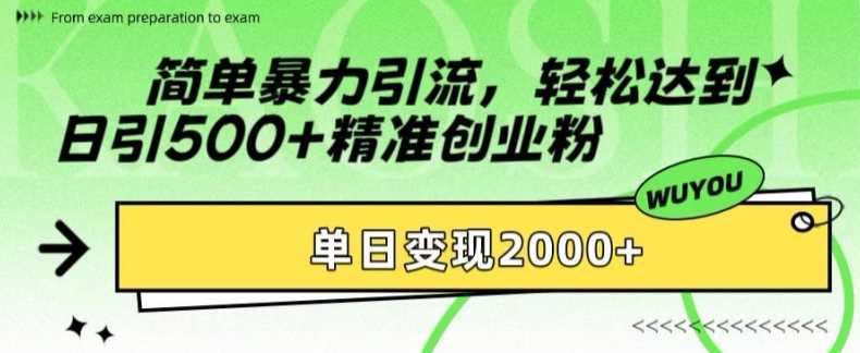 简单暴力引流，轻松达到日引500+精准创业粉，单日变现2k【揭秘】-三六网赚