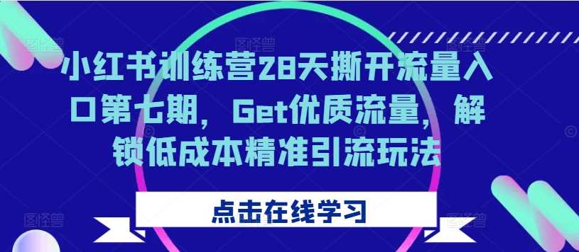 小红书训练营28天撕开流量入口第七期，Get优质流量，解锁低成本精准引流玩法-三六网赚