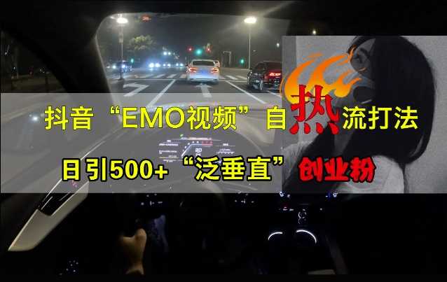 抖音EMO视频自热打法，日引500+“泛垂直”创业粉-三六网赚