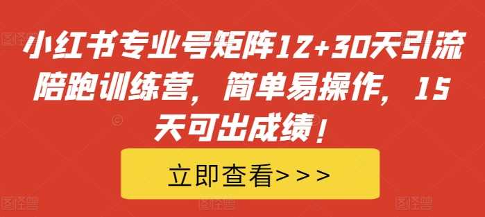 小红书专业号矩阵12+30天引流陪跑训练营，简单易操作，15天可出成绩!-三六网赚