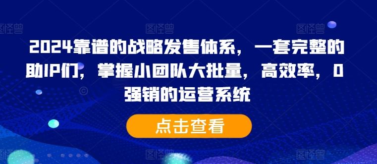 2024靠谱的战略发售体系，一套完整的助IP们，掌握小团队大批量，高效率，0 强销的运营系统-三六网赚