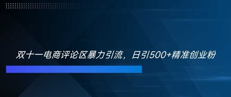 双十一电商评论区暴力引流，日引500+精准创业粉【揭秘】-三六网赚