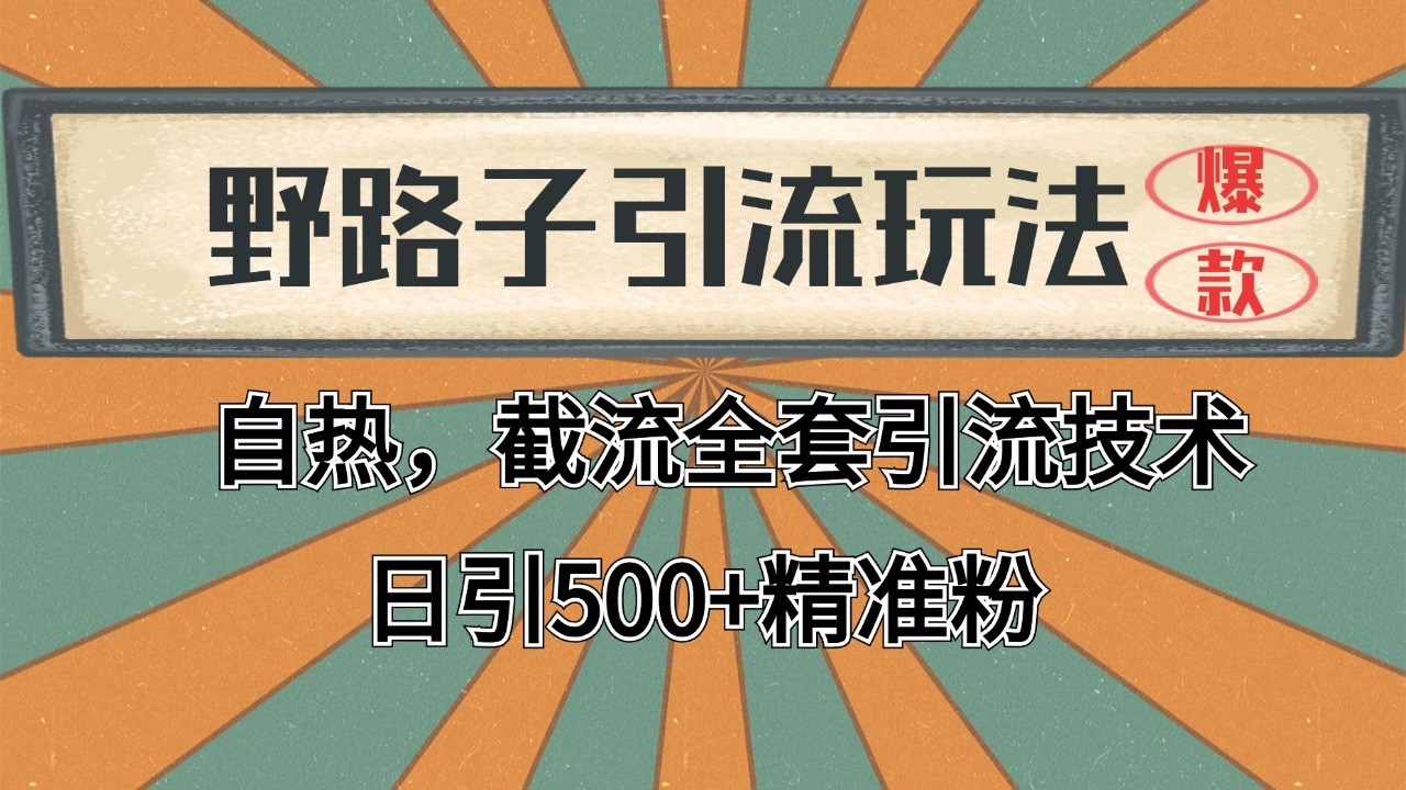 抖音小红书视频号全平台引流打法，全自动引流日引2000+精准客户-三六网赚